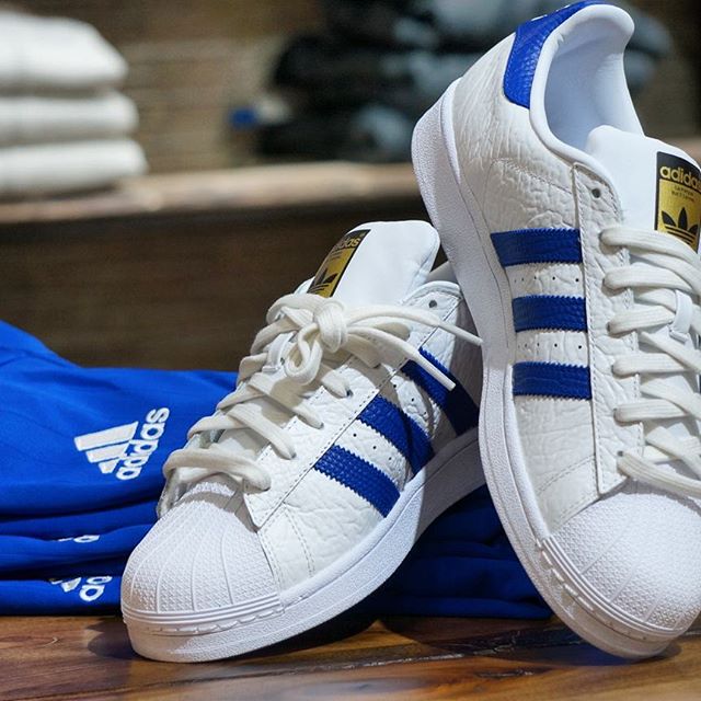 Sneakers montante ou basse ? On vous dit laquelle choisir ! - AMB-Montevideo.fr